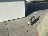 IMG_5140.JPEG IMG_5140.JPEG
