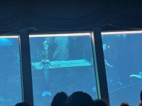 IMG_5163.JPEG IMG_5163.JPEG