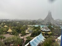 IMG_5245.JPEG IMG_5245.JPEG