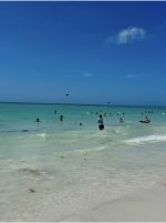 IMG_7923.jpeg