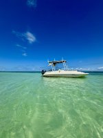 IMG_7608.jpeg