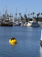 IMG_0579.JPG