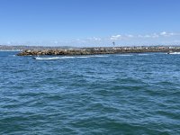 IMG_9857.JPG