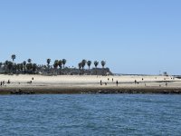 IMG_9863.JPG