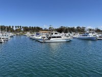 IMG_9882.JPG
