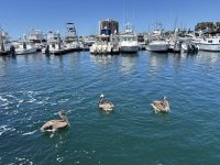 IMG_9900.jpg
