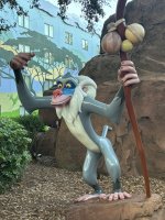 IMG_5383.JPEG IMG_5383.JPEG