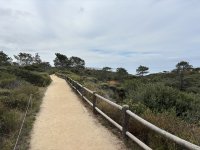 IMG_0478.JPG