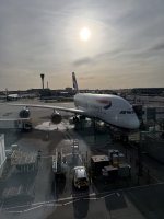IMG_0393.jpeg