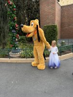 IMG_5455.JPEG IMG_5455.JPEG