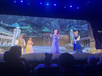 IMG_5478.JPEG IMG_5478.JPEG