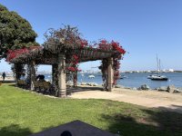 IMG_0904.JPG