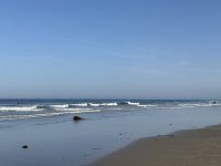 IMG_0983.JPG