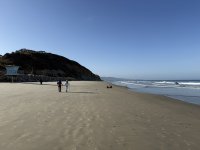 IMG_1280 2.JPG