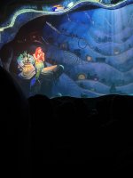 IMG_5496.JPEG IMG_5496.JPEG