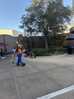 IMG_5512.JPEG IMG_5512.JPEG