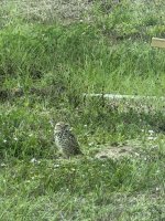 IMG_0432.jpeg