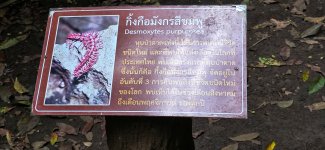 20260227_131019 (1).jpg