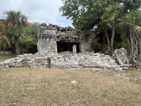 IMG_9851.jpeg