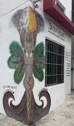 IMG_9856.jpeg