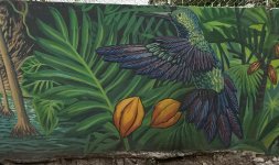 IMG_9966.jpeg