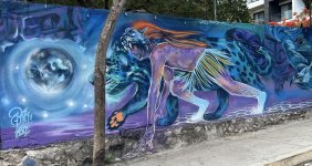 IMG_9959.jpeg