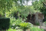 cLaura Plantage.jpg