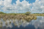 110616 -- Airboat&Naples_DNG --23.jpg