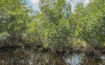 110616 -- Airboat&Naples_DNG --24.jpg