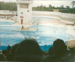 Seaworld1.jpg