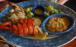 shrimp.jpg
