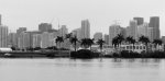 0012-40 Miami 1.jpg