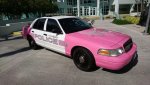pink cops.jpg