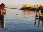 20191108_221632.jpg