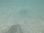 IMG_1143.jpeg