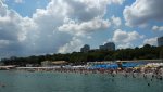 IMG_20190716_140244.jpg