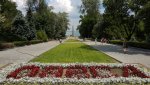 IMG_20190716_132043.jpg