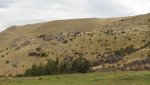 DSCN4315.JPG