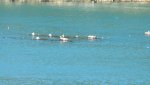 DSCN5008.JPG