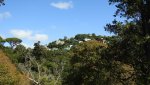 DSCN5055.JPG
