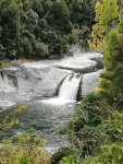 IMG_20200316_141452.jpg