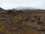 IMG_20200317_103757.jpg