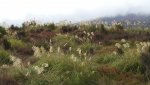 DSCN5134.JPG