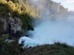 IMG_20200318_084351.jpg