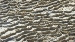 DSCN5217.JPG