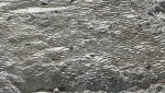 DSCN5218.JPG