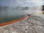 IMG_20200318_115416.jpg