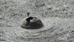 DSCN5270.JPG