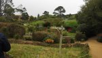 DSCN5310.JPG