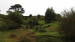 DSCN5320.JPG